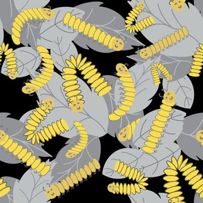 Yellow and Gray Caterpillars 