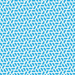 Geometric Pattern: Aperture: Blue/White