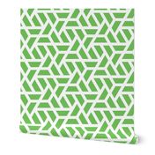 Geometric Pattern: Aperture: Green/White