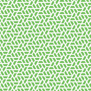 Geometric Pattern: Aperture: Green/White