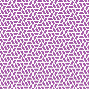 Geometric Pattern: Aperture: Purple/White