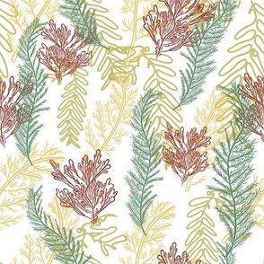 Botanical Seaweed Wallpaper - Green Yellow Red White