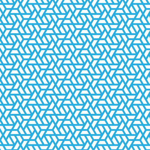 Geometric Pattern: Aperture: White/Blue