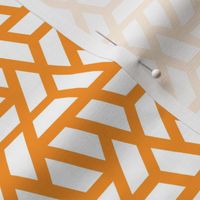 Geometric Pattern: Aperture: White/Orange