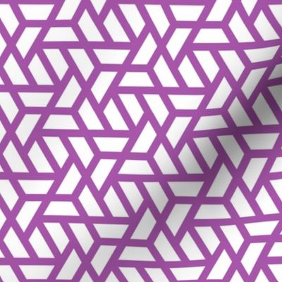 Geometric Pattern: Aperture: White/Purple