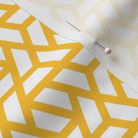 Geometric Pattern: Aperture: White/Yellow