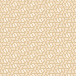 Geometric Pattern: Aperture: Linen