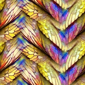 butterfly wings chevrons 2 yellow FLWRHT