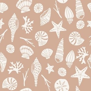 seashells maple sfx1316