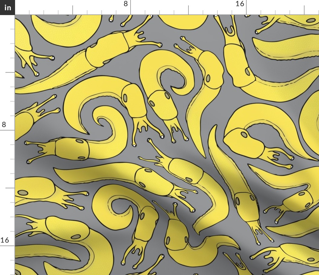 Banana Slugs! Large Print