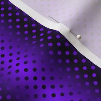 Shimmering Polka Dots Purple and Black