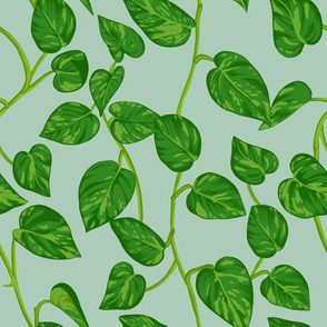 Vine Leaves - Green - Medium