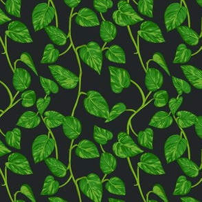 Vine Leaves - Black - Small