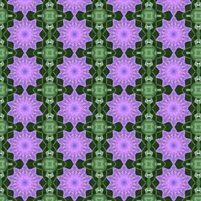 0239_flowers_purple_03_kaleidoscope_2_500