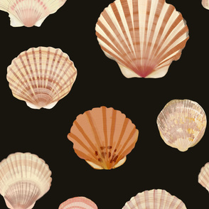 Shells on black large