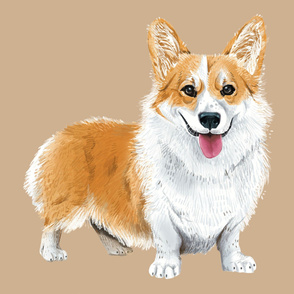 XL Corgi on Tan