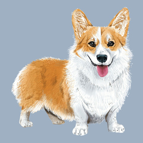 XL Corgi on Light Blue