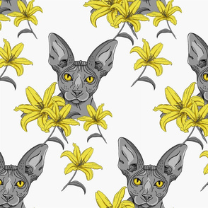Sphynx cat pattern. Yellow and grey.