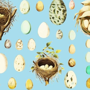 egg and nest 