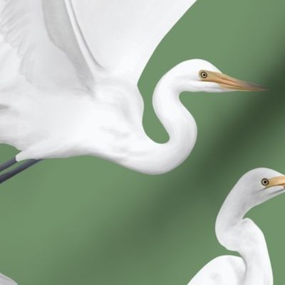Heron - Green - Extra Large