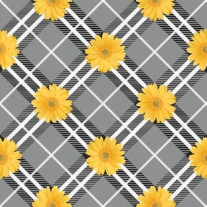 Daisies on grey plaid