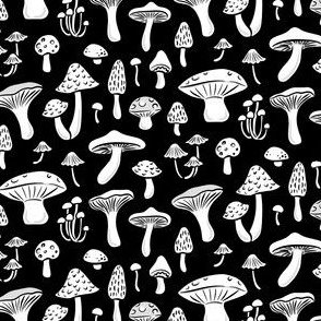 Black and white Mushrooms