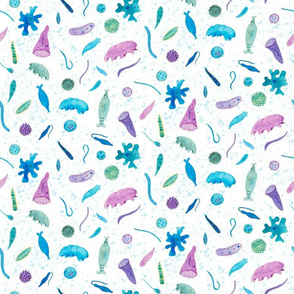 Smaller Microscopic Pond Life