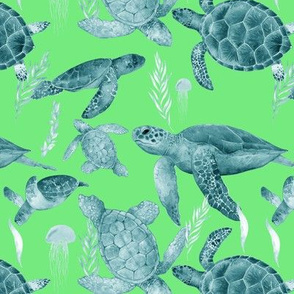 Blue Green Sea Turtles