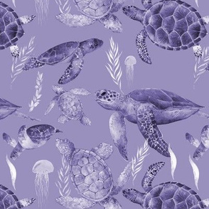 Purple Sea Turtles