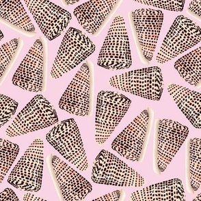 Cone Shells Large Scale Pink Background