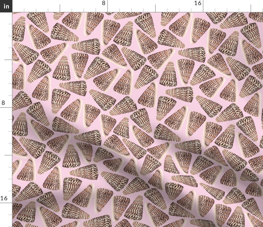 Cone Shells Large Scale Pink Background