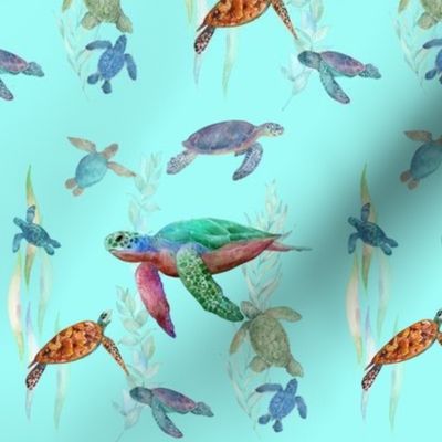 Sea Turtles on Aqua