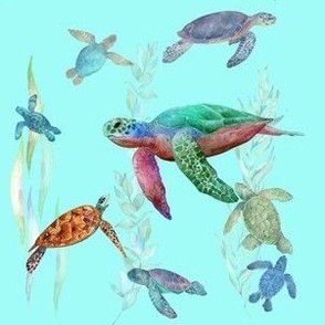 Sea Turtles on Aqua