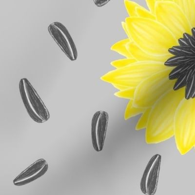 Sunflowers and Seeds