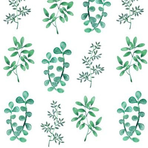 Foliage Vines Small Print