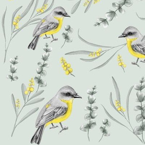 Australian Yellow Robins & Botanical