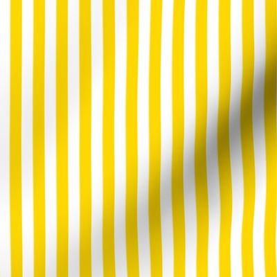 Sunflower yellow and white stripe