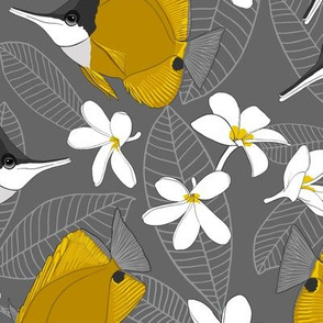 longnose butterflyfish and plumeria