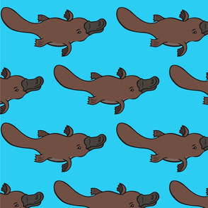 Platypus Duck Billed Animal Lover Semi Aquatic Mammals