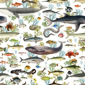 8" Fishing Expedition Print for Fabric White Back