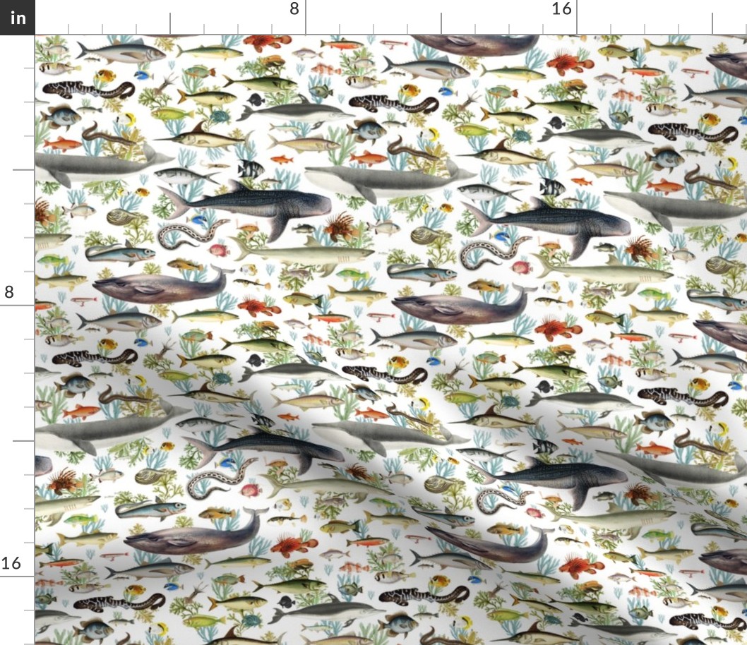 8" Fishing Expedition Print for Fabric White Back