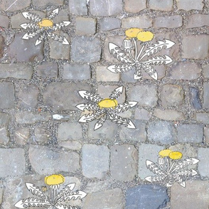 Dandelion cobblestones