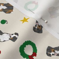 Tiny Entlebucher mountain dog - Christmas