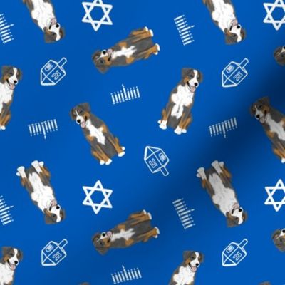 Tiny Entlebucher mountain dog - Hanukkah