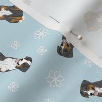 Tiny Entlebucher mountain dog - winter snowflakes