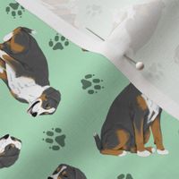 Tiny Greater Swiss Mountain Dog - green