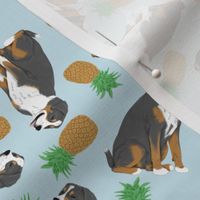 Tiny Greater Swiss Mountain Dog - pineapples