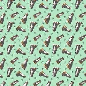 Tiny assorted Sennenhund Mountain dogs - green