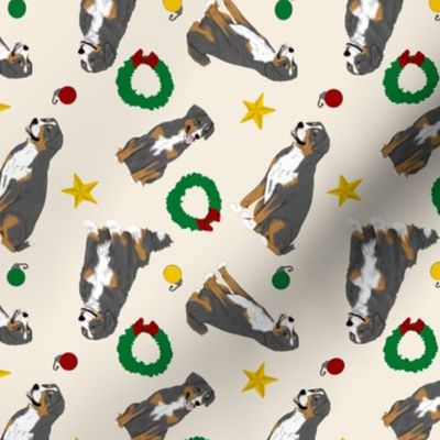 Tiny assorted Sennenhund Mountain dogs - Christmas