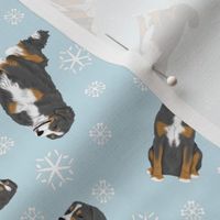 Tiny assorted Sennenhund Mountain dogs - winter snowflakes